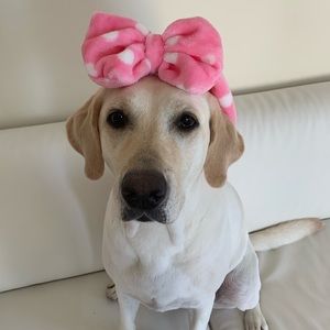 Meet your Posher, Jane